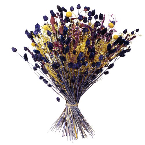 Produkt Oset truskawkowy Suchy oset Dekoracja fioletowa 44-58cm 100g
