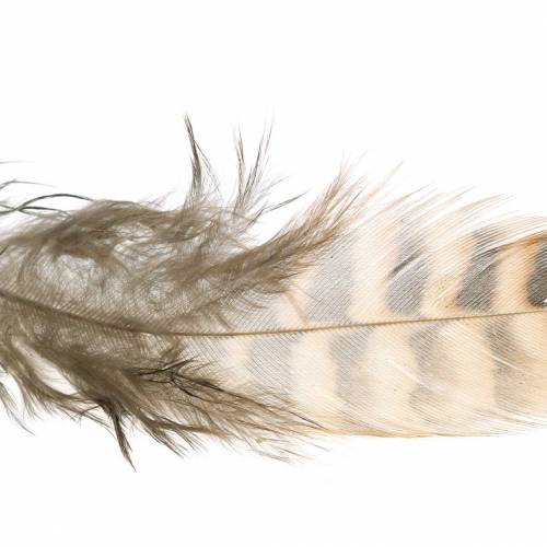 Floristik24 Pióra naturalne 4,5 - 9cm 20g