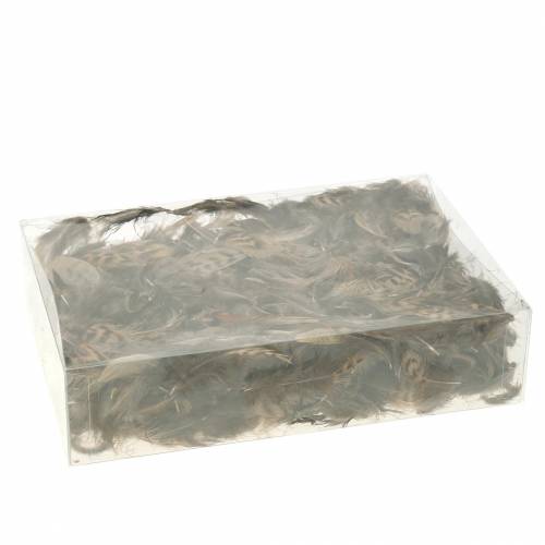 Floristik24 Pióra naturalne 4,5 - 9cm 20g