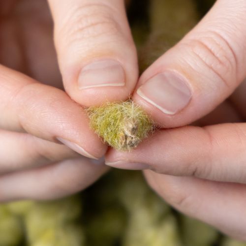 Produkt Puszysty sznurek filcowy Mirabell, wełniany, zielony, 25m, dekoracyjna wstążka do florystyki, dekoracji, rękodzieła, DIY