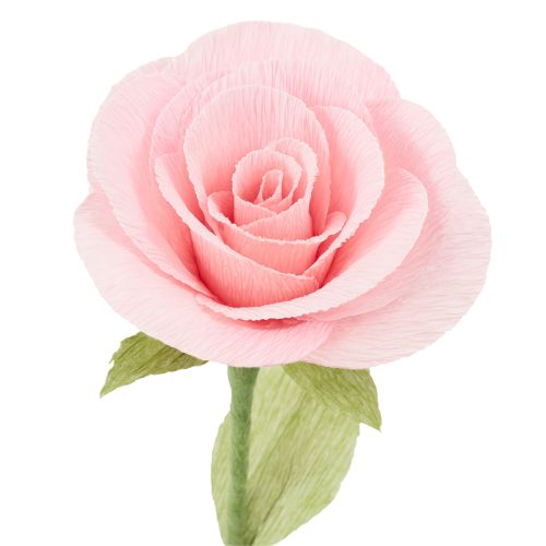 Produkt Bibuła florystyczna krepa florystyczna zielona trawiasta 50×250cm 5 szt.