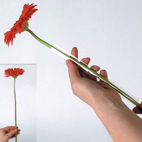 Produkt Wąż podporowy Gerbera 13mm, 200m