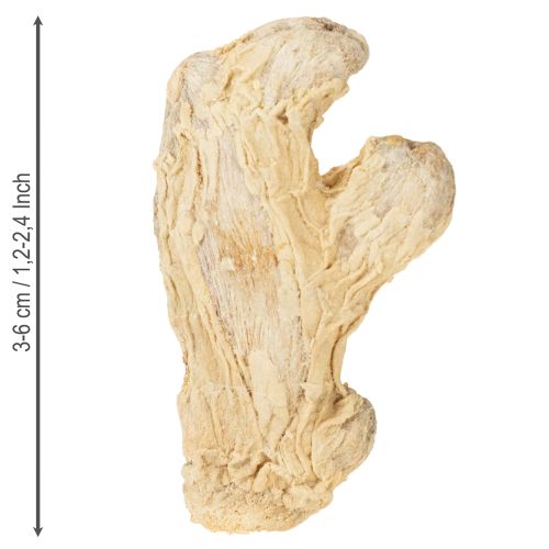 Produkt Suszony imbir, dekoracja naturalna, 500g