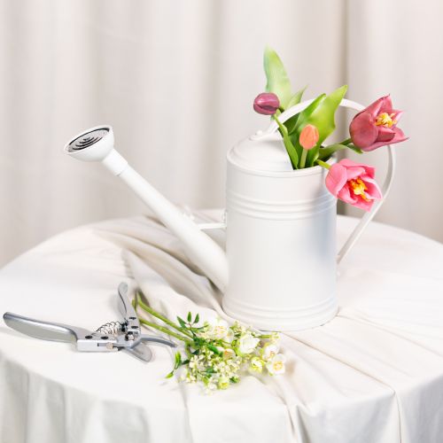 Produkt Konewka z wyjmowaną różą. Idealna do roślin doniczkowych i balkonowych. 32 cm