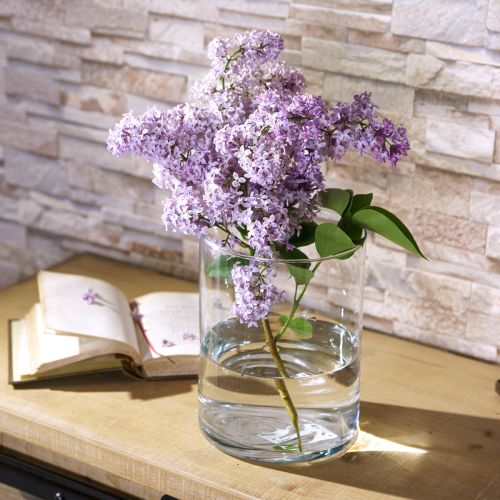 Produkt Wazon szklany przezroczysty cylindryczny Ø12cm H20cm