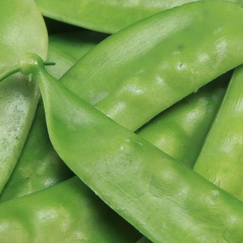 Produkt Zielony groszek Sztuczne warzywa spożywcze 11,5cm 24 szt