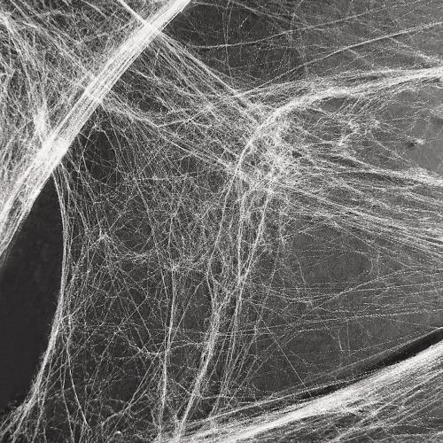 Floristik24 Dekoracja na Halloween pajęczyna pajęczyny 70×100cm 150g