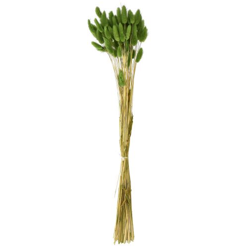 Produkt Trawa ogonowa królika Trawa ozdobna Lagurus oliwkowa L65cm 50g