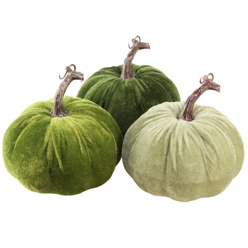 Floristik24 Jesienna dekoracja dynia jasnozielona zielona ciemnozielona Ø13cm 3 szt