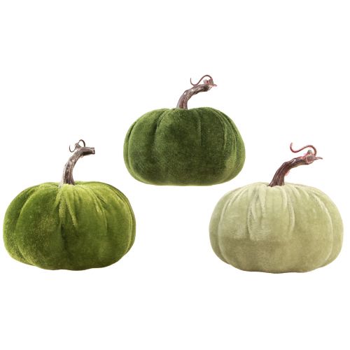 Floristik24 Jesienna dekoracja dynia jasnozielona zielona ciemnozielona Ø13cm 3 szt