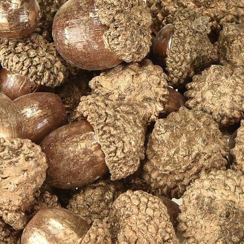 Produkt Złote owoce jesieni, świąteczne dekoracje jesienne, naturalne dekoracyjne żołędzie, dekoracja adwentowa Ø1,5 – 2,5 cm Dł.1,5 – 3 cm 300 g