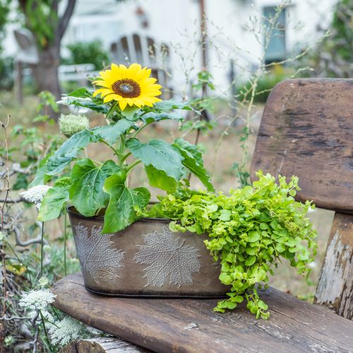 Produkt Doniczka jesienna, misa na rośliny z liśćmi, dekoracja metalowa złota L38cm W15cm