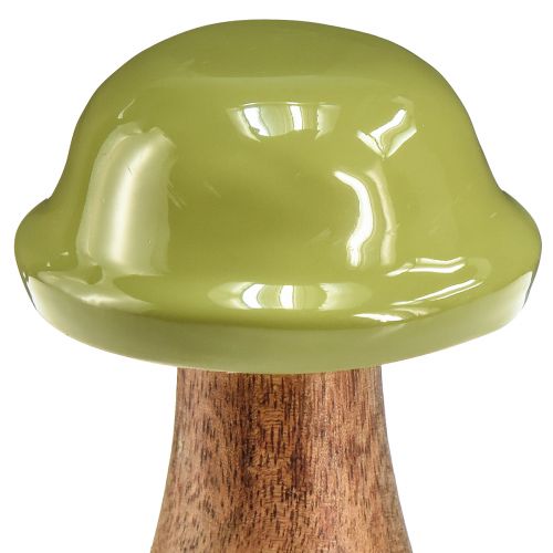 Produkt Grzyby drewniane grzyby dekoracyjne drewno szare zielone Ø6cm W10cm 2szt