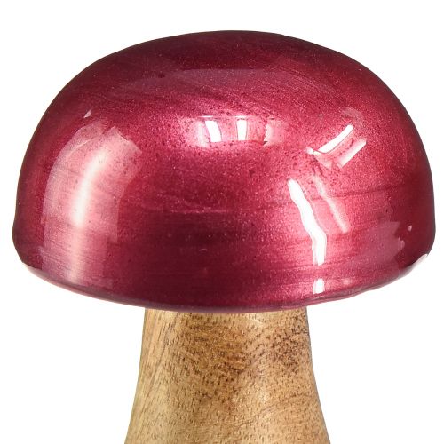 Produkt Grzyby drewniane grzybki dekoracyjne drewno czerwone połysk Ø6cm W10cm 2szt