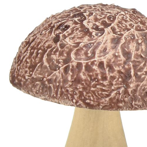 Produkt Grzyby drewniane grzyby dekoracyjne dekoracja stołu jesienny brązowy naturalny 5×6cm 8 szt