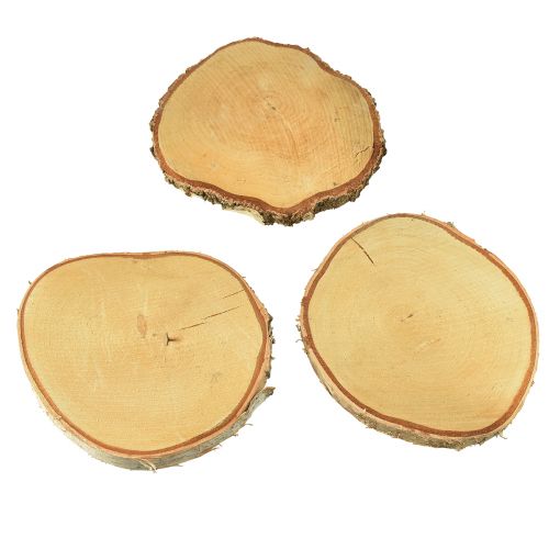Floristik24 Tarcze drewniane drewno brzozowe z krążkami kory drzewnej Ø20-22cm 3 sztuki