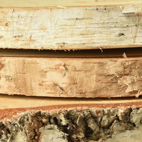 Floristik24 Tarcze drewniane drewno brzozowe z krążkami kory drzewnej Ø20-22cm 3 sztuki