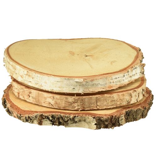 Floristik24 Tarcze drewniane drewno brzozowe z krążkami kory drzewnej Ø20-22cm 3 sztuki
