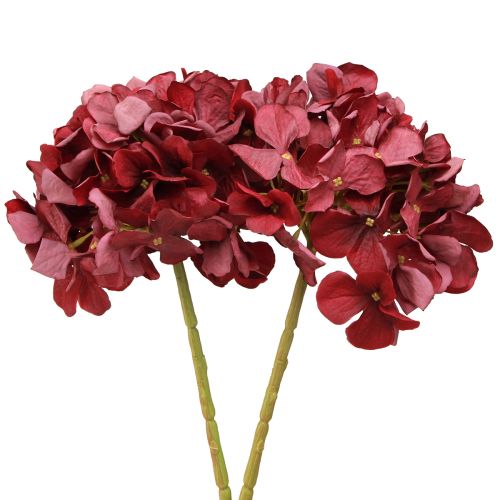 Produkt Hortensja Sztuczna Bordowa Duży Kwiat Ø15cm D58cm 2szt