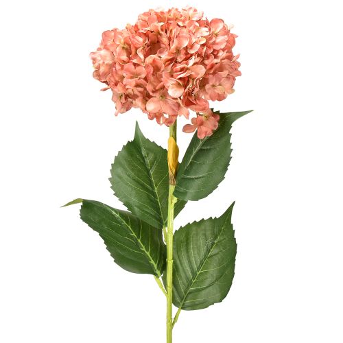 Floristik24 Hortensja Różowa 80cm 1 szt.