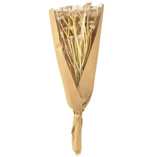 Produkt Włoskie sztuczne kwiaty truskawkowe różowe L28cm