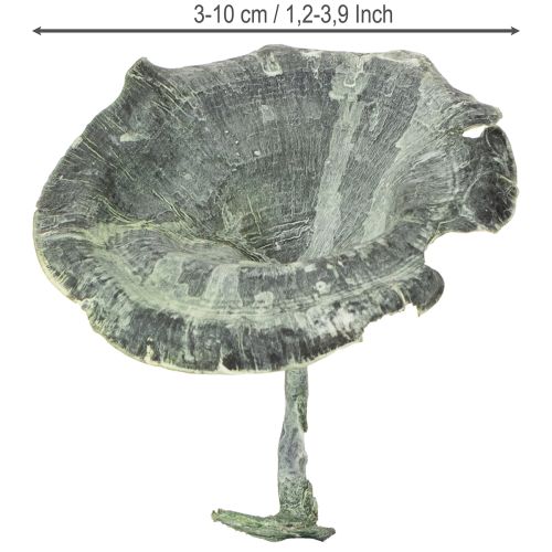 Produkt Kalix Mushroom Green, White Washed 100 szt.