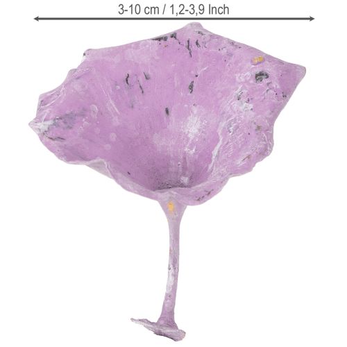 Produkt Kalix Mushroom Purple, White Washed 100 szt.