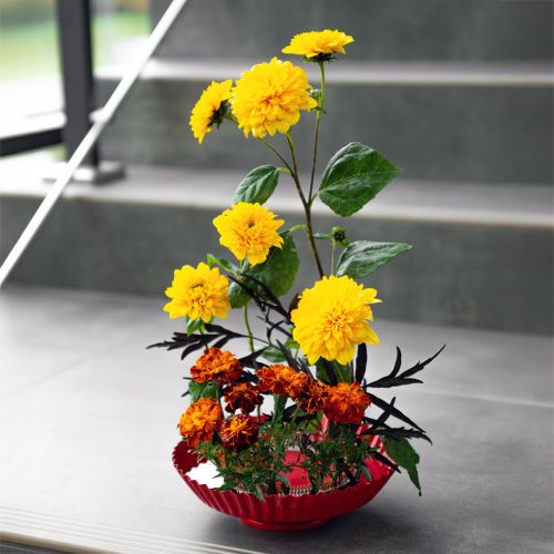 Produkt Pomoc w zakładaniu pierścieni Kenzan, igły mosiężne, pomoc w zakładaniu Ø150mm