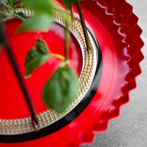 Produkt Pomoc w zakładaniu pierścieni Kenzan, igły mosiężne, pomoc w zakładaniu Ø150mm