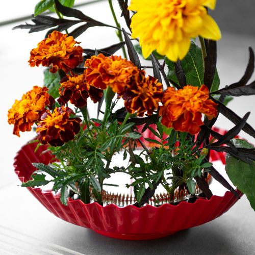 Produkt Kenzan Ring Pin Aid Mosiężny pin Aid Ø150mm