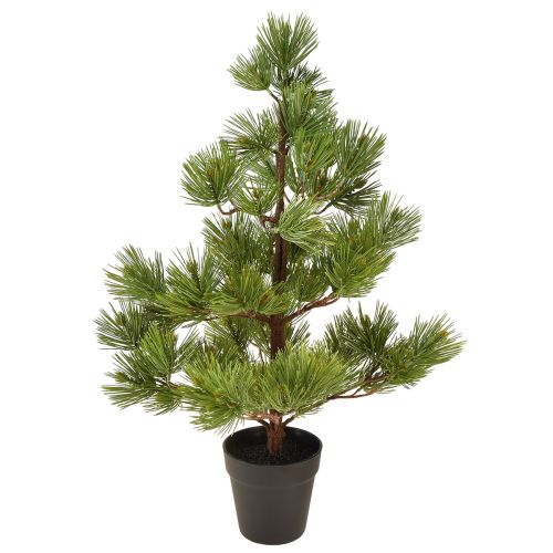 Floristik24 Sosna w doniczce Sztuczna mini choinka zielona W72cm