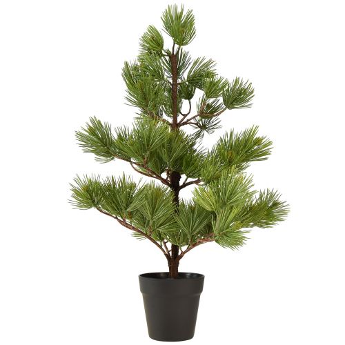 Floristik24 Sosna w doniczce Sztuczna mini choinka zielona W72cm
