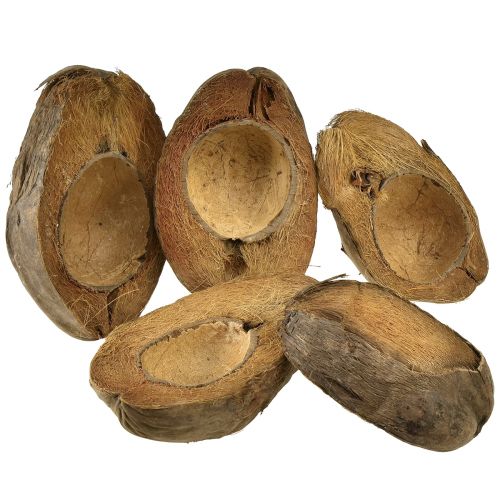 Produkt Kokos jako miska donica naturalna doniczka 20cm 5 szt