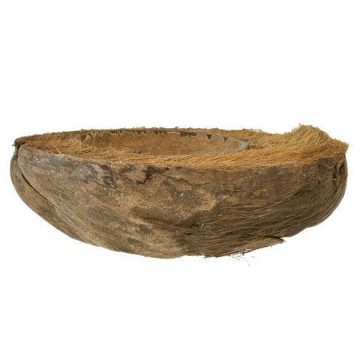 Produkt Kokos jako miska donica naturalna doniczka 20cm 5 szt