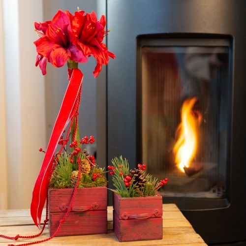 Floristik24 Sztuczny Amarylis Sztuczne Kwiaty Czerwone Ø18cm D68cm 2szt