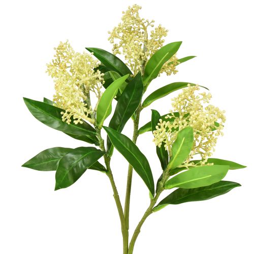 Floristik24 Sztuczne kwiaty kremowe Skimmia japonica Skimmie 45cm 2szt