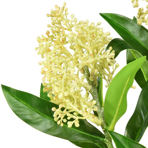 Produkt Sztuczne kwiaty kremowe Skimmia japonica Skimmie 45cm 2szt