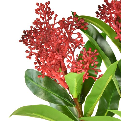 Produkt Sztuczne Kwiaty Czerwony Skimmia japonica Skimmie 45cm 2szt
