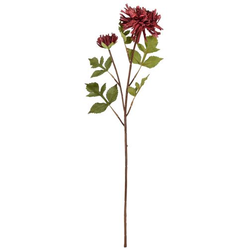 Produkt Sztuczna chryzantema w kolorze bordowym Ø5cm/ Ø11cm Dł.70cm