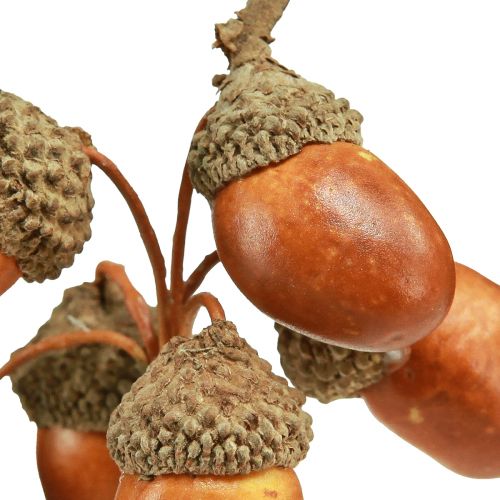 Floristik24 Sztuczne żołędzie na drucianej dekoracji na wianek jesienny 3cm 6 szt