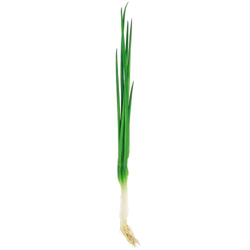 Produkt Sztuczna dymka Warzywa dekoracyjne L30cm 4 szt