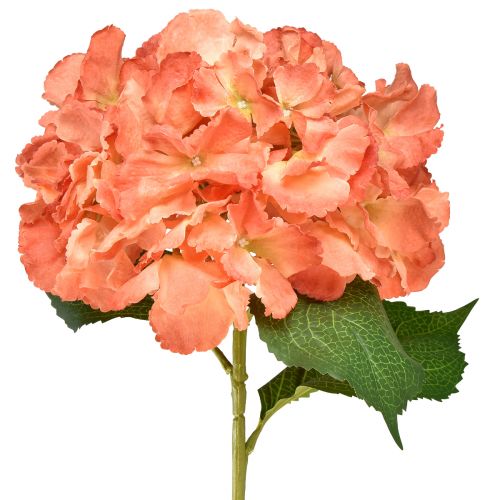 Produkt Sztuczna hortensja Gigant dekoracyjny kwiat łosoś Ø23cm dł. 84cm