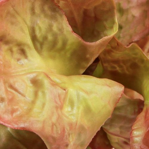 Produkt Sztuczna sałata Lollo Rosso Ozdobna główka sałaty Ø20cm