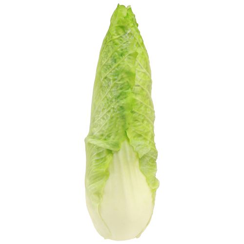 Sztuczny spiczasty manekin do jedzenia kapusty Ø5cm W18cm