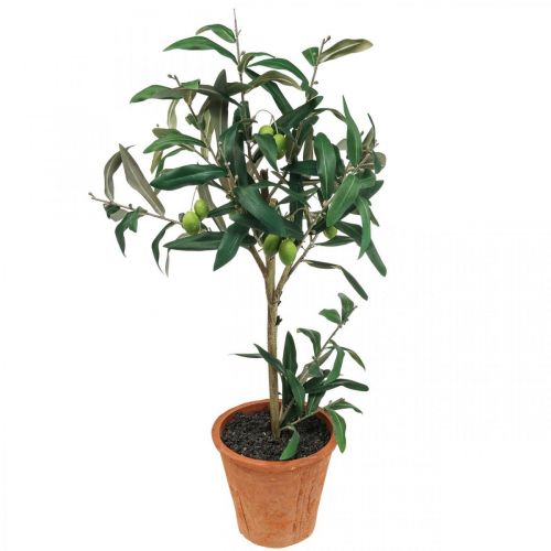 Floristik24 Sztuczne drzewko oliwne w doniczce Sztuczna roślina Oliwka W63,5cm
