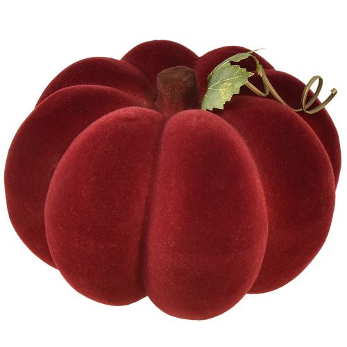 Floristik24 Dekoracja dyniowa flokowana dynia czerwona bordowa aksamitna 20cm 2szt