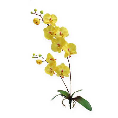 Floristik24 Sztuczna orchidea żółta 68cm