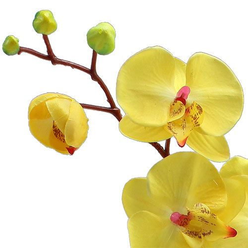 Floristik24 Sztuczna orchidea żółta 68cm