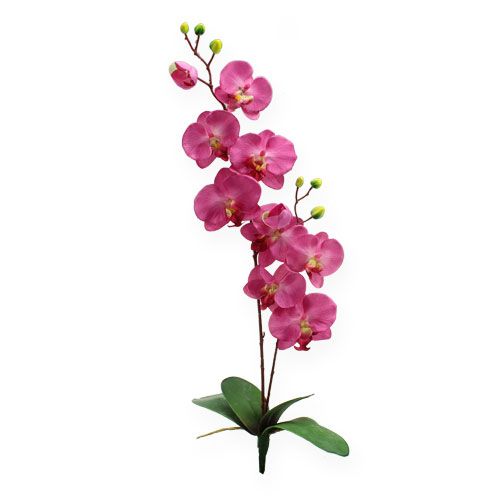 Floristik24 Sztuczna orchidea z liśćmi Różowy 68cm
