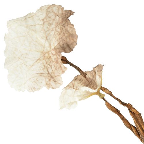 Produkt Sztuczna jesienna gałąź Heuchera Sztuczny brązowy krem L85cm